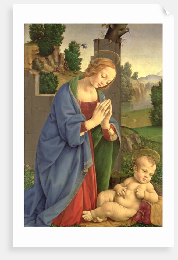 The Virgin Adoring the Child, 1490-1500 by Lorenzo di Credi