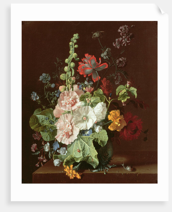 Hollyhocks and Other Flowers in a Vase, 1702-20 by Jan van Huysum