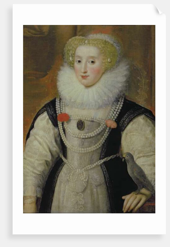 Portrait of an Elizabethan Lady with a Parrot by English School