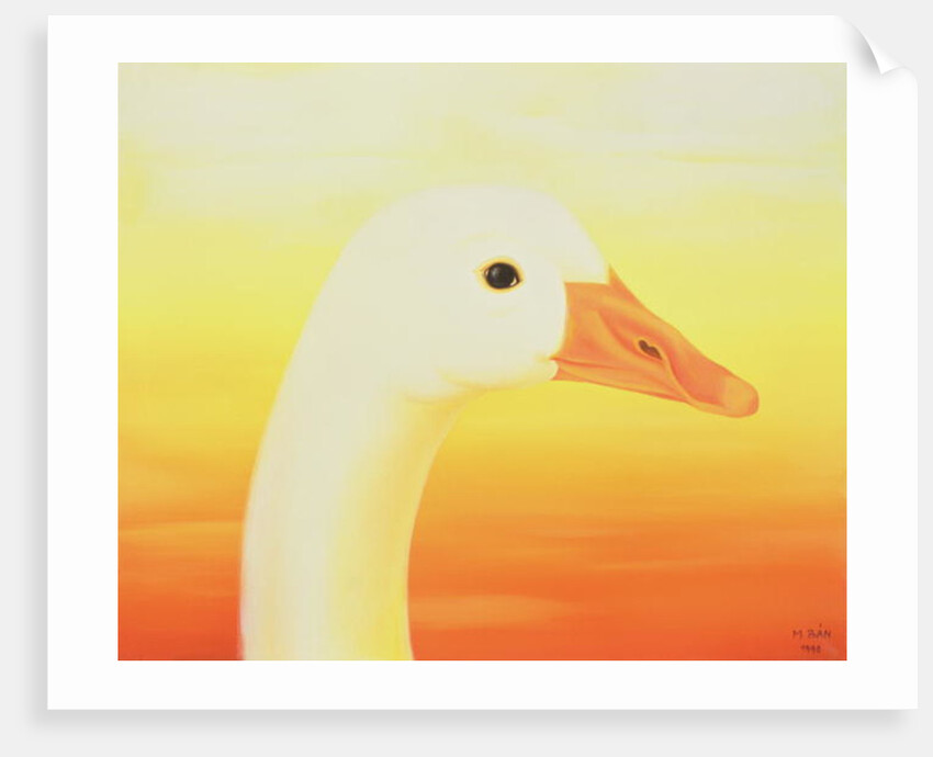 Beauty, 1998 by Magdolna Ban