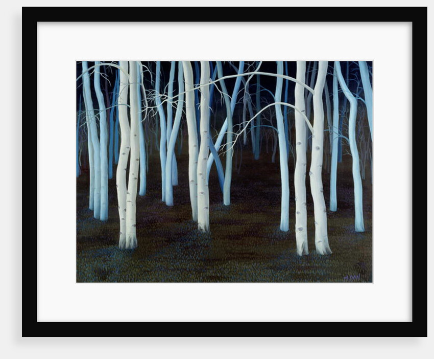 Mystic, 2004 by Magdolna Ban