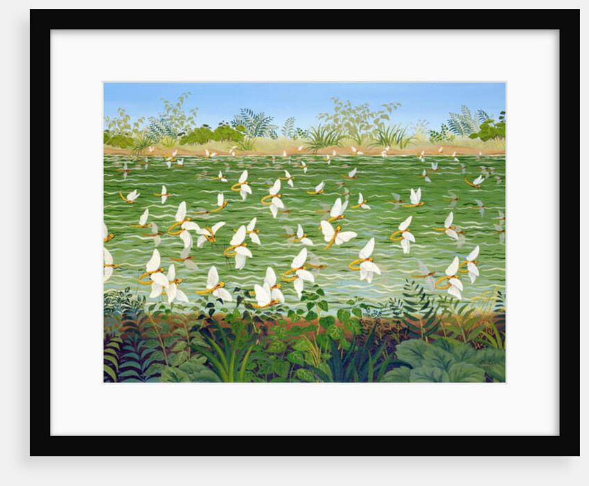 Wedding, 1985 by Magdolna Ban