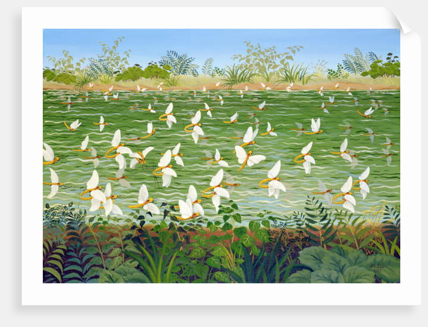 Wedding, 1985 by Magdolna Ban