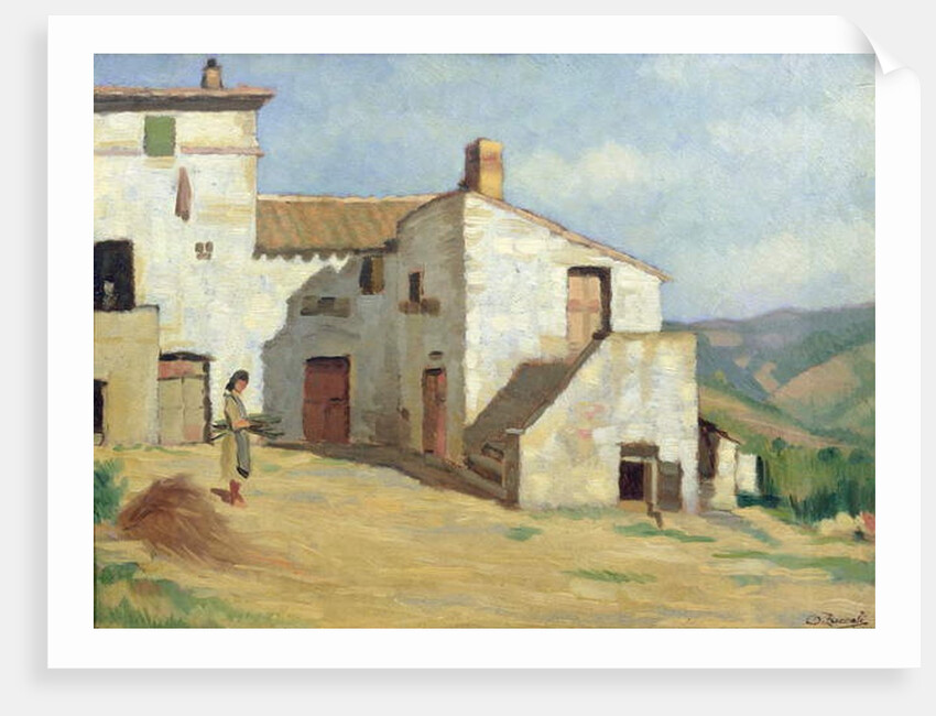 Peasant woman on the farm by Luigi Zuccoli