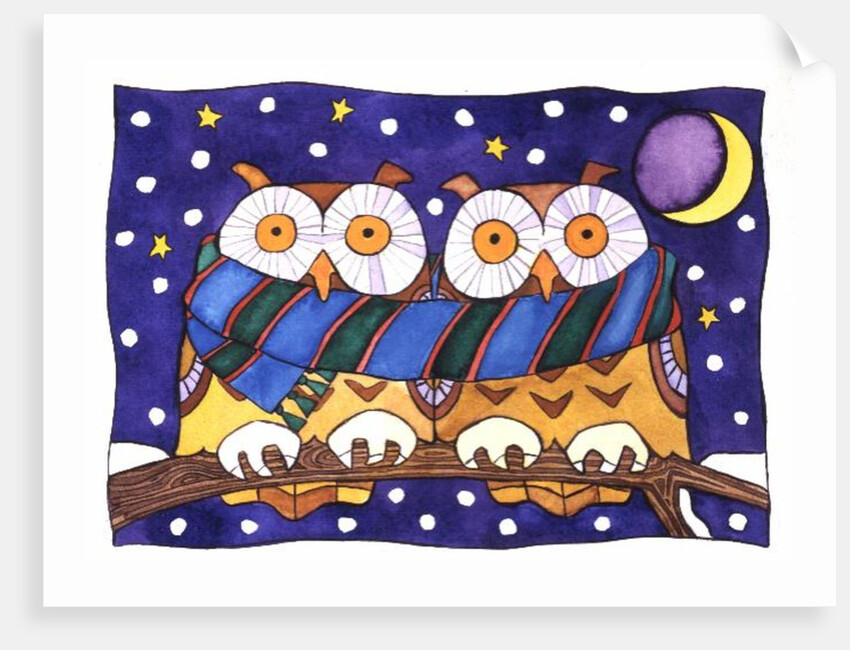 Owls by Night by Cathy Baxter