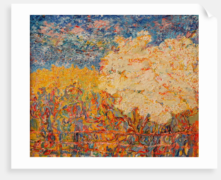 The Elderflower Tree II by Brenda Brin Booker