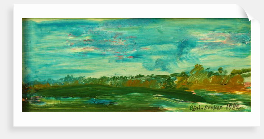 Fresh morning, Suffolk, 1982 by Brenda Brin Booker