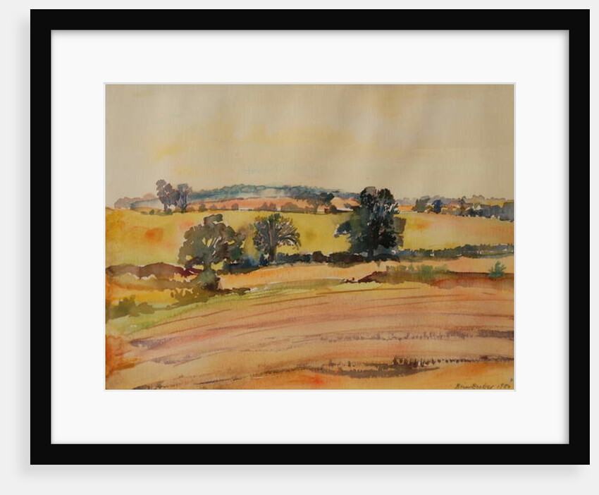 Suffolk Landscape, 1980 by Brenda Brin Booker