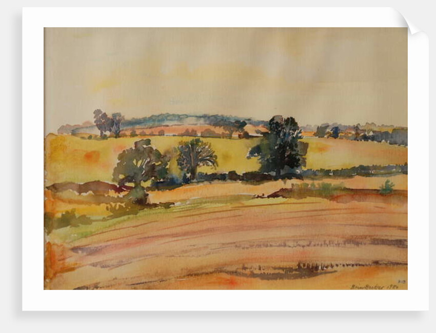Suffolk Landscape, 1980 by Brenda Brin Booker