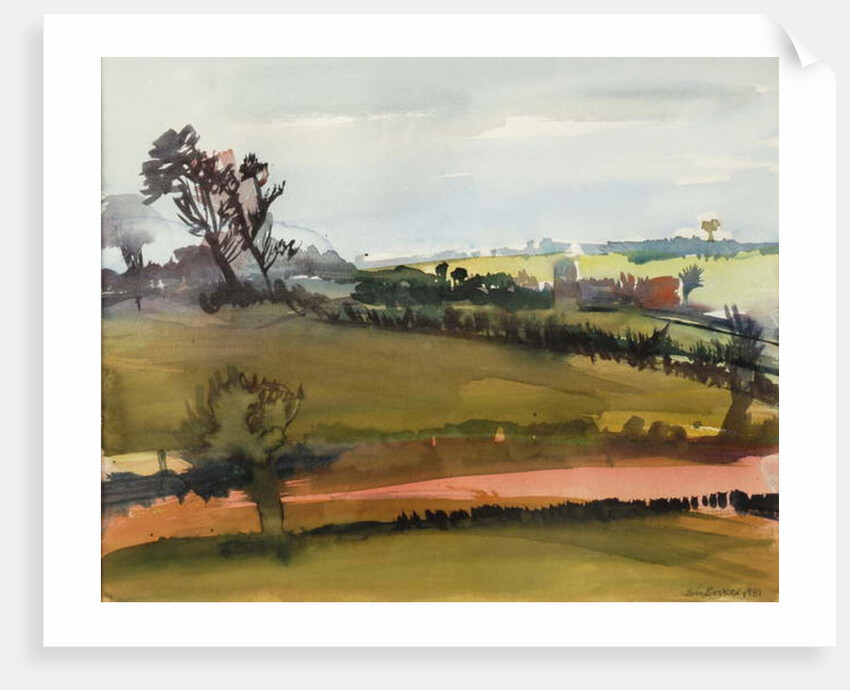 The Farm Road, 1981 by Brenda Brin Booker