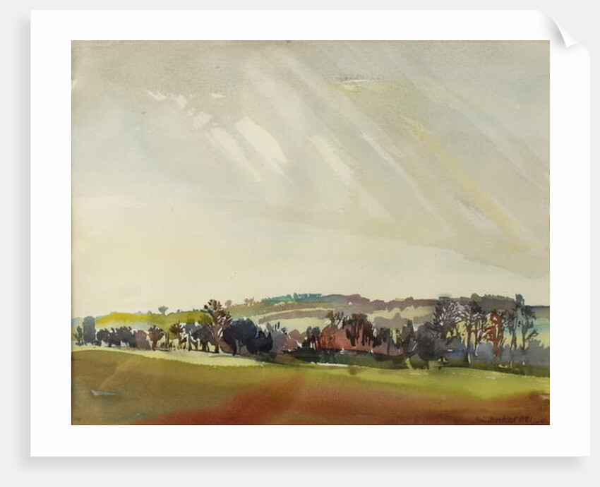 Morning Landscape, 1981 by Brenda Brin Booker