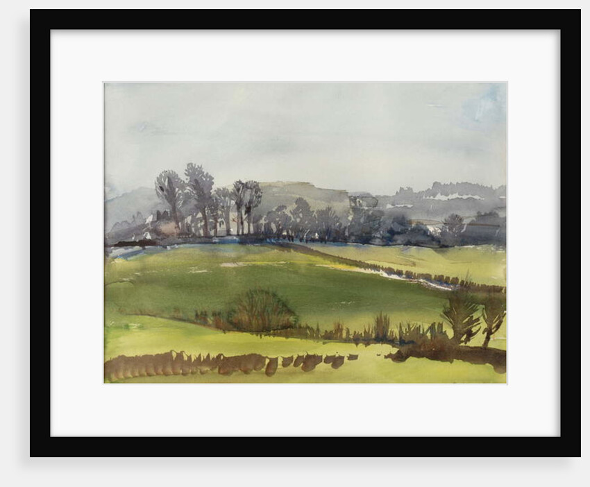 Winter Corn, 1980 by Brenda Brin Booker