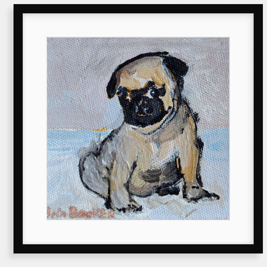 Vincent, the pug puppy by Brenda Brin Booker