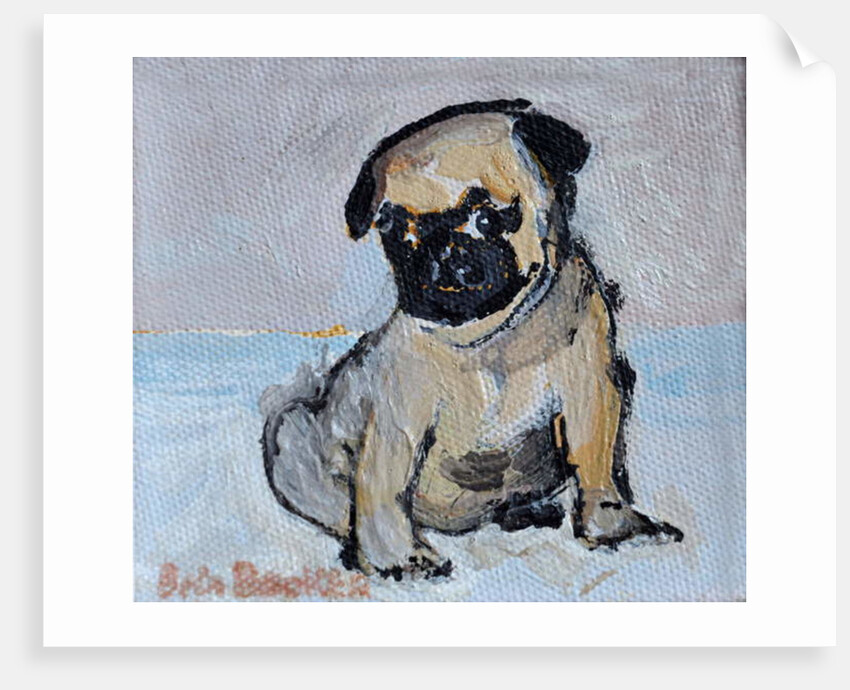 Vincent, the pug puppy by Brenda Brin Booker