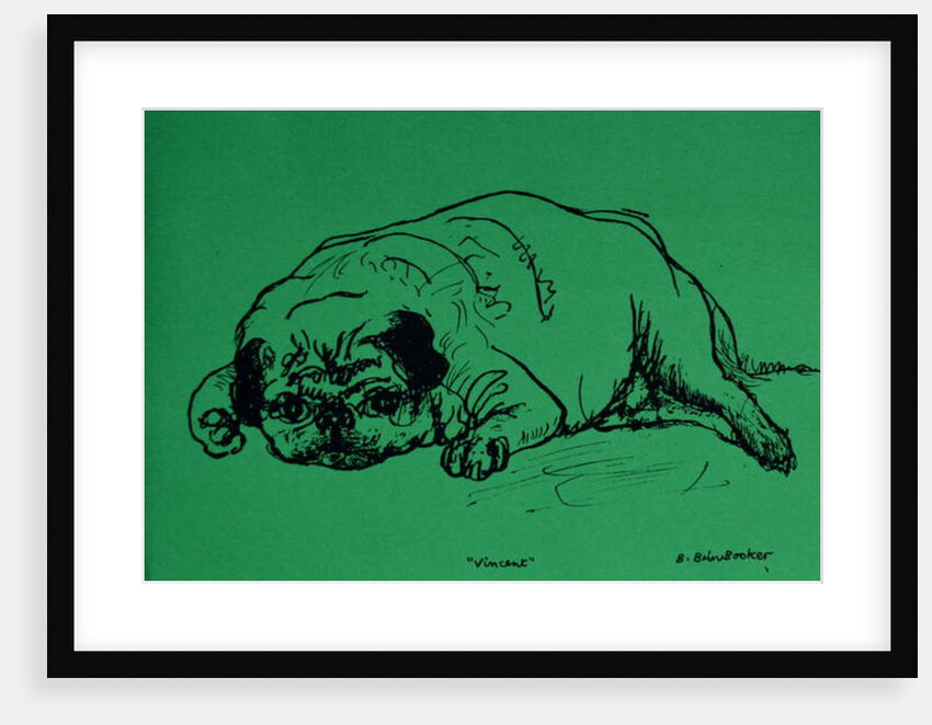 Vincent by Brenda Brin Booker