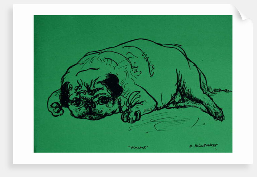 Vincent by Brenda Brin Booker