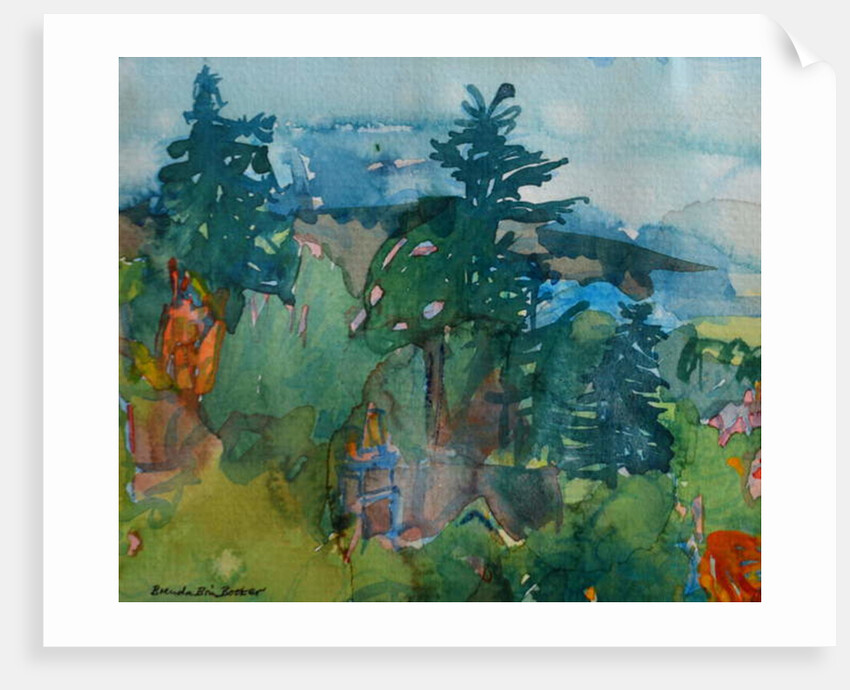 View of the Rooftops by Brenda Brin Booker