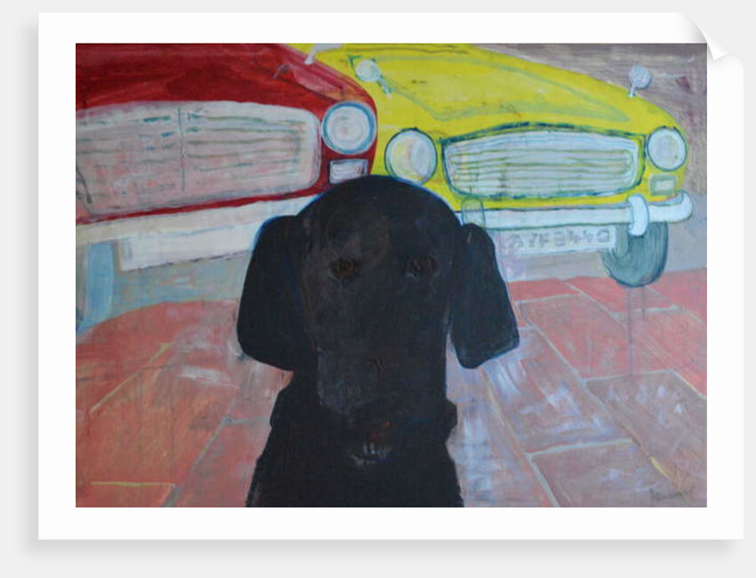 Rex at the Used Car Lot - AYF8440 by Brenda Brin Booker