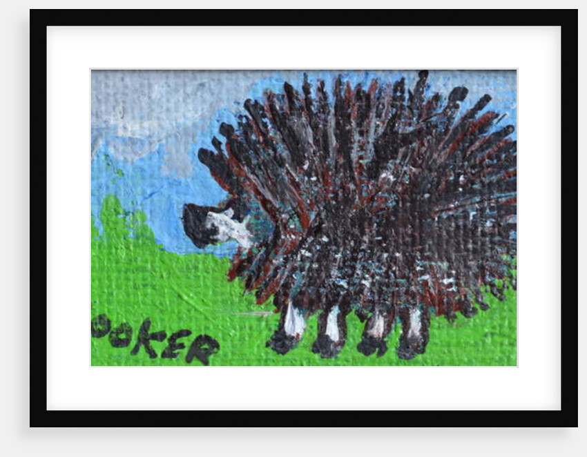 Hedgehog by Brenda Brin Booker