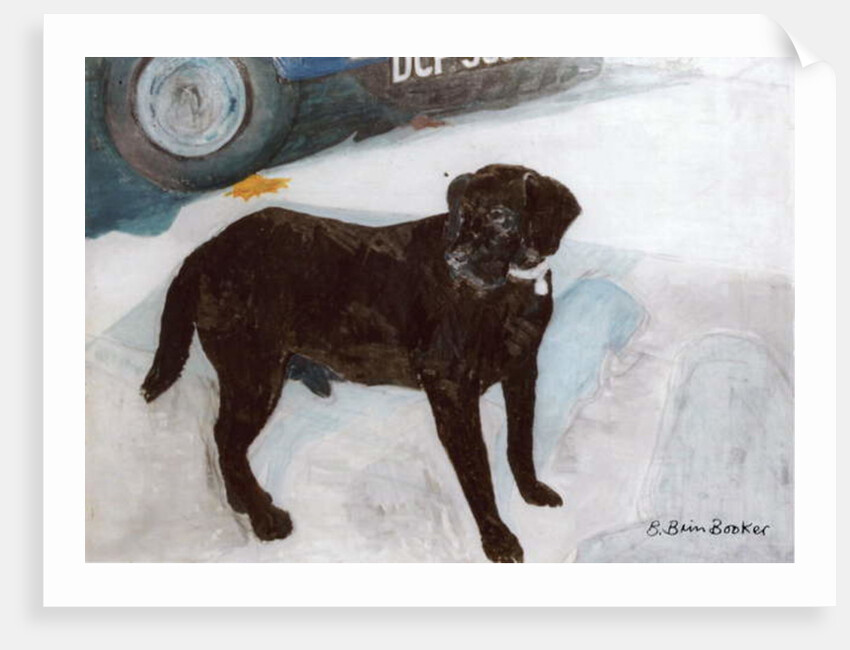 Rex in the Morning at the Used Car Lot by Brenda Brin Booker