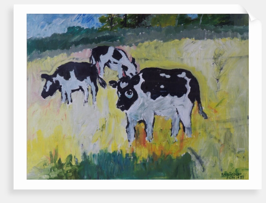 Young Bullocks in a Meadow, 1982 by Brenda Brin Booker