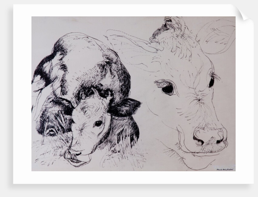 Calves, Gt Garnetts II by Brenda Brin Booker
