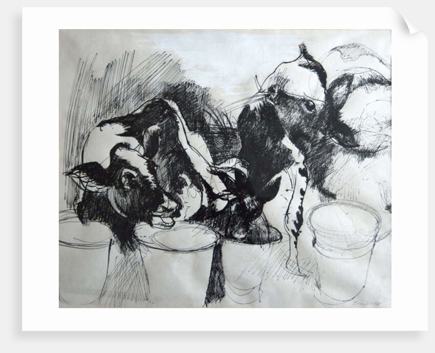 Calves; day-old by Brenda Brin Booker