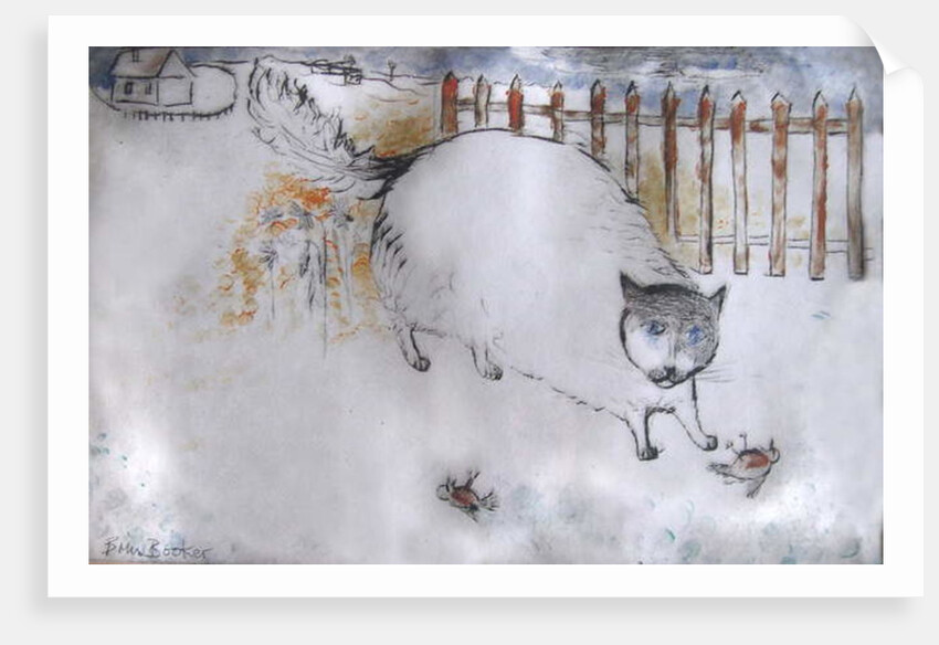 The Killing by Brenda Brin Booker