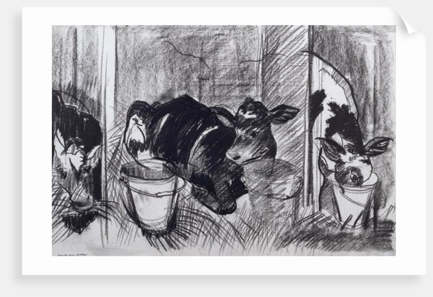 Calves by Brenda Brin Booker