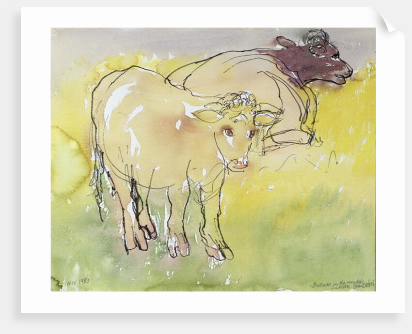 Young Bullocks in the Meadow, 1983 by Brenda Brin Booker