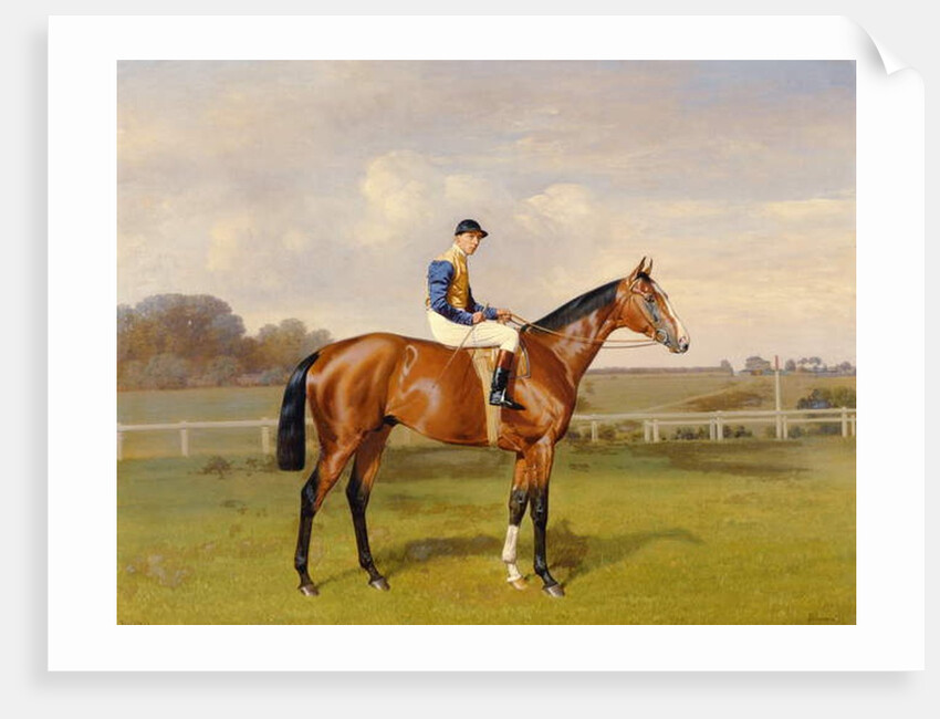 Spearmint, Winner of the 1906 Derby, 1906 by Emil Adam