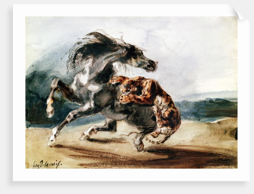 Tiger Attacking a Wild Horse by Ferdinand Victor Eugene Delacroix