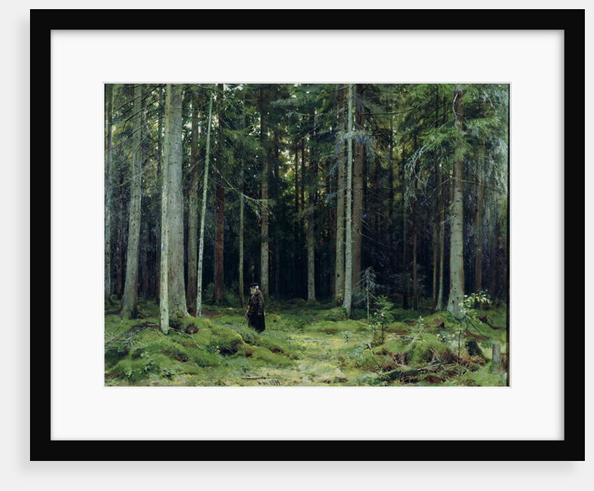 Countess Mordvinov's Forest, 1891 by Ivan Ivanovich Shishkin