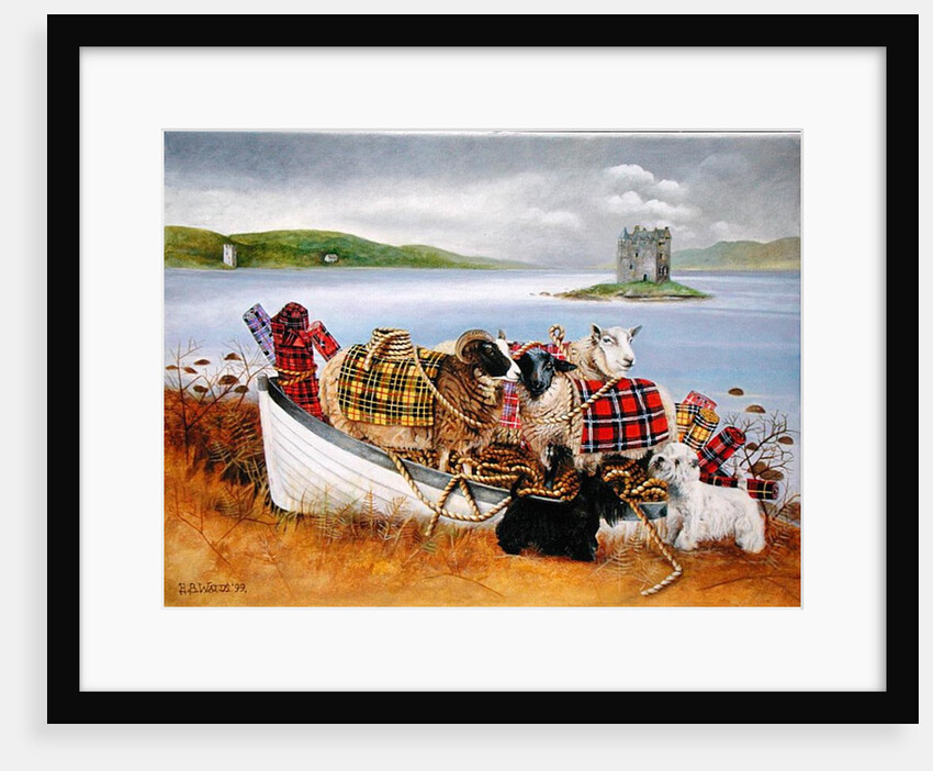 Sheep with Tartan, 1999 by E.B. Watts