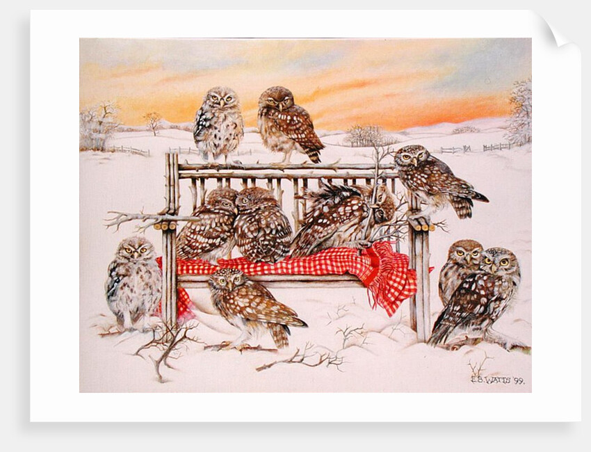Little Owls on Twig Bench, 1999 by E.B. Watts