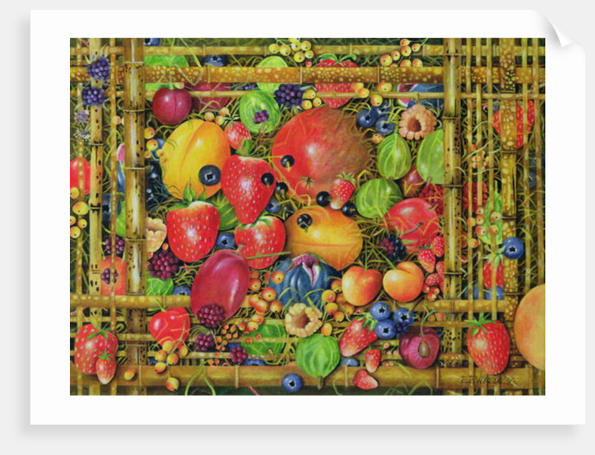 Fruit in Bamboo Box, 1999 by E.B. Watts