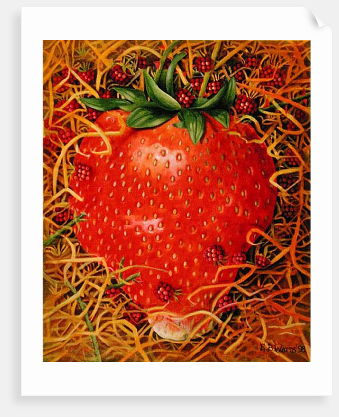 Strawberry in Straw, 1998 by E.B. Watts