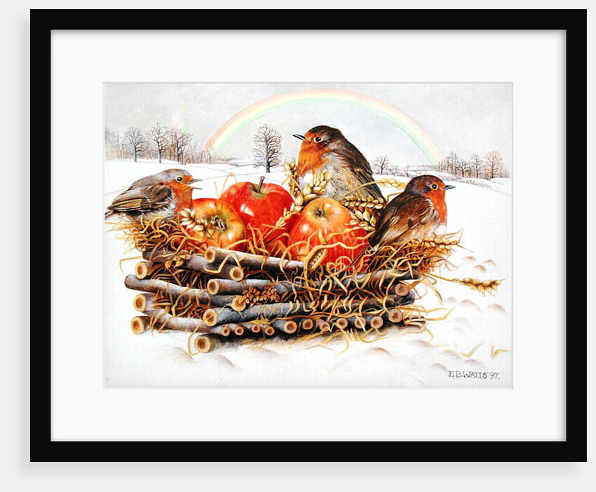 Robins with Apples, 1997 by E.B. Watts