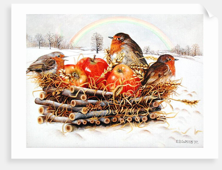 Robins with Apples, 1997 by E.B. Watts