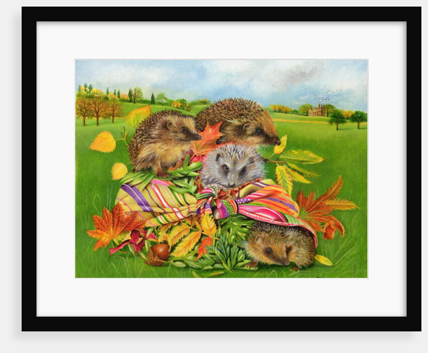 Hedgehogs Inside Scarf, 2000 by E.B. Watts