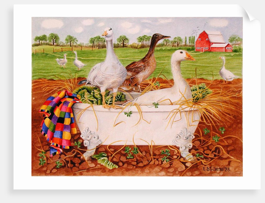 Geese in Bathtub, 1998 by E.B. Watts