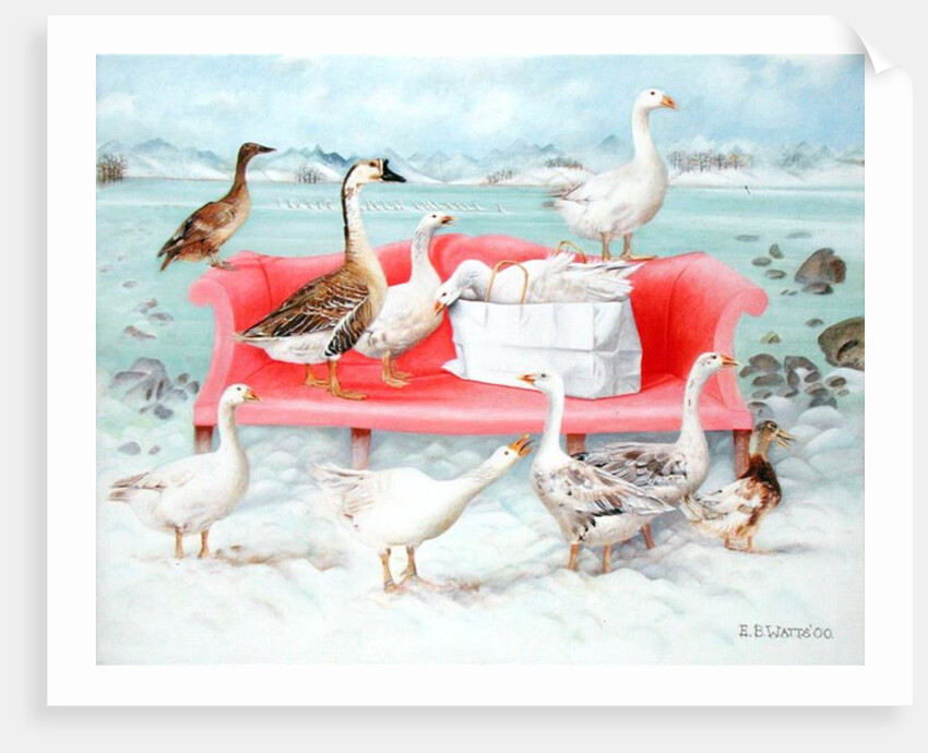 Geese on Pink Sofa, 2000 by E.B. Watts