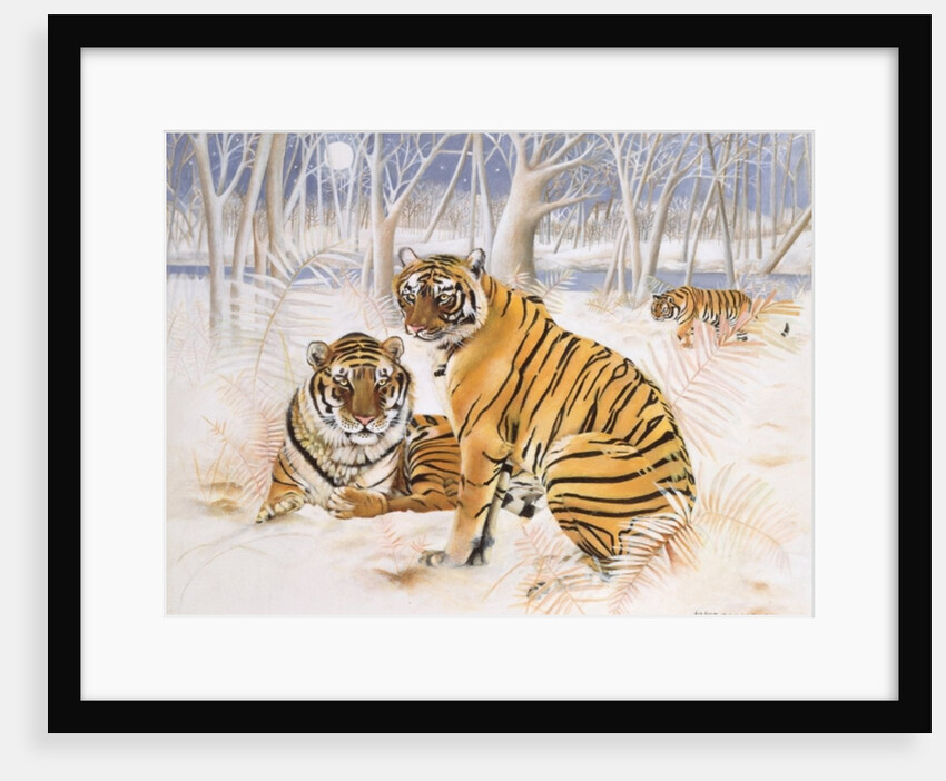 Tigers in the Snow, 2005 by E.B. Watts