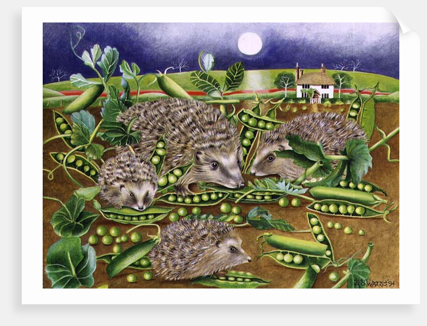 Hedgehogs with Peas beside a Poppy field at night, 1994 by E.B. Watts