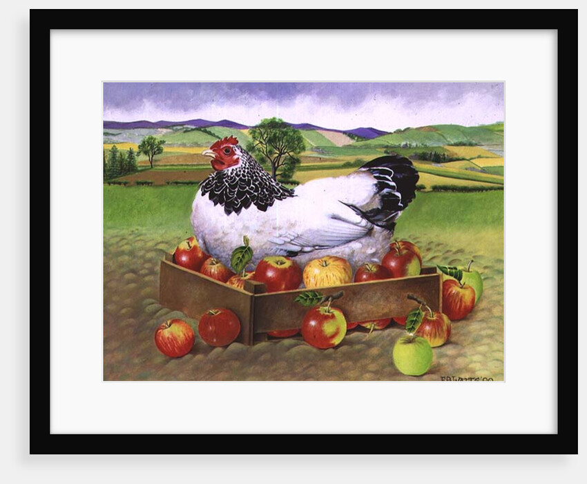Hen in a Box of Apples, 1990 by E.B. Watts