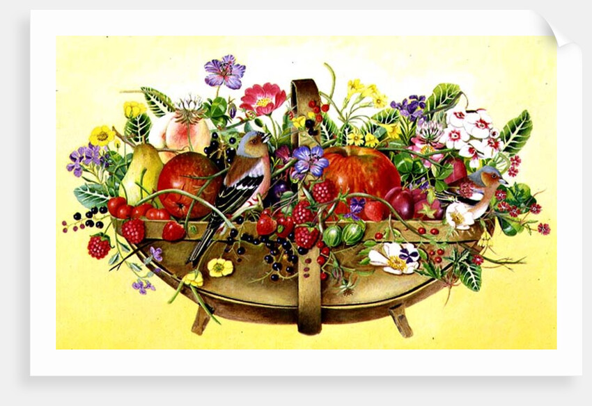Trug with Fruit, Flowers and Chaffinches, 1991 by E.B. Watts