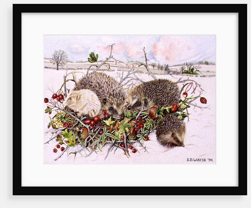 Hedgehogs in Hedgerow Basket, 1996 by E.B. Watts