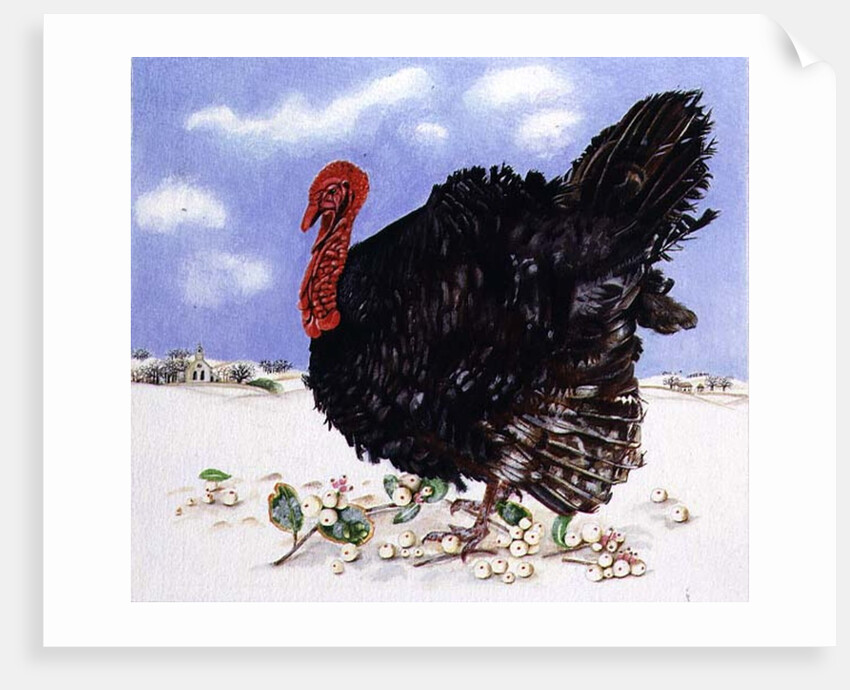 Black Turkey with Snow Berries, 1996 by E.B. Watts