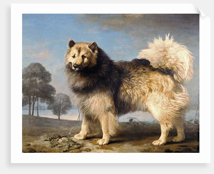 Turk, 1778 by George Stubbs