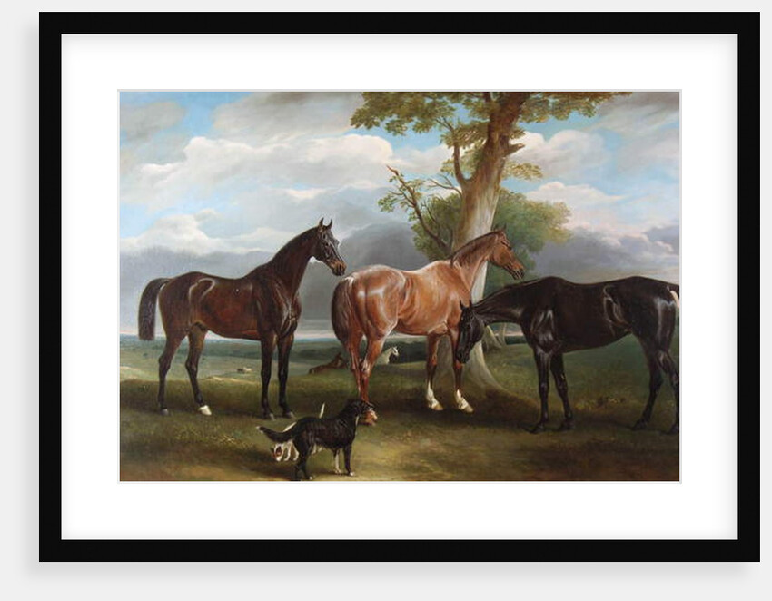 The 6th Duke's favourite hunters and dogs, 1857 by John E. Ferneley